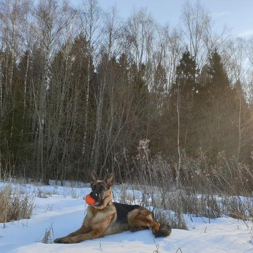 Photo #4390699
