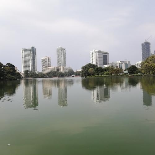 Photo #4390818