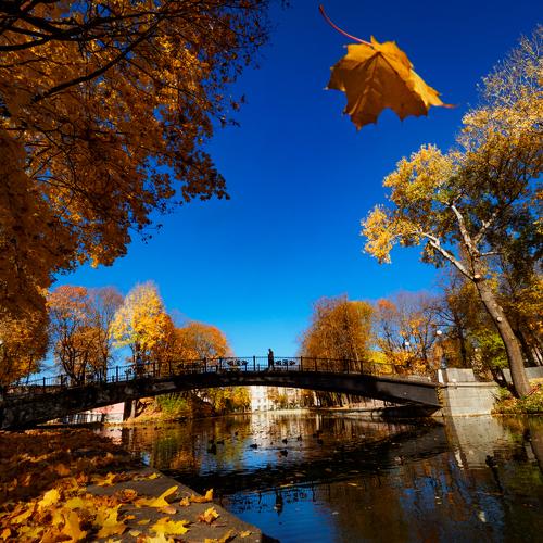 Photo #4391030