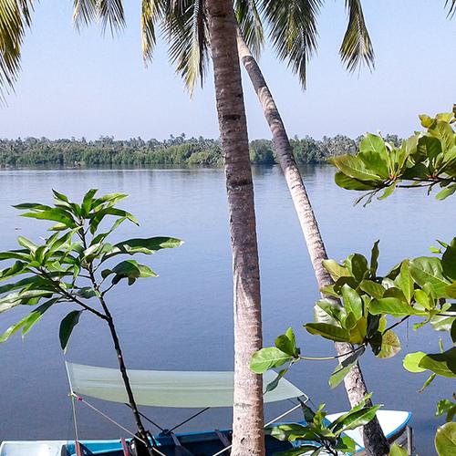 Photo #4391215