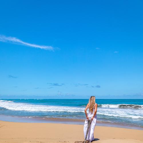 Photo #4391380