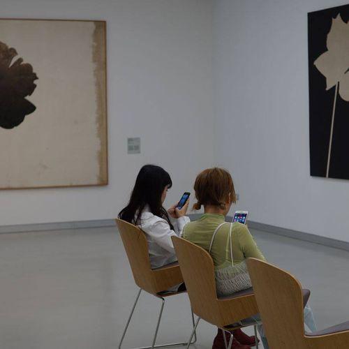 Photo #4391423