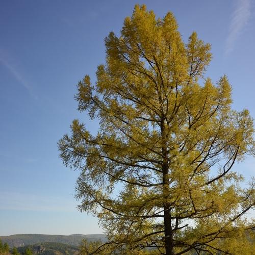 Photo #4391672