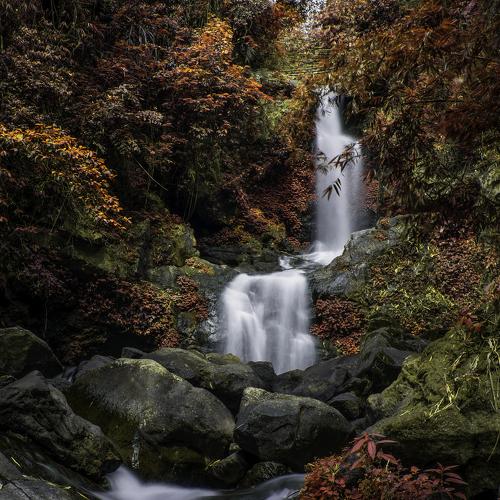 Photo #4391863