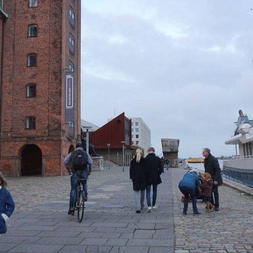 Photo #4392118