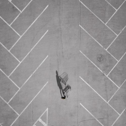 Photo #4392243