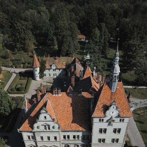 Photo #4392276