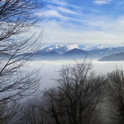 Photo #4392298