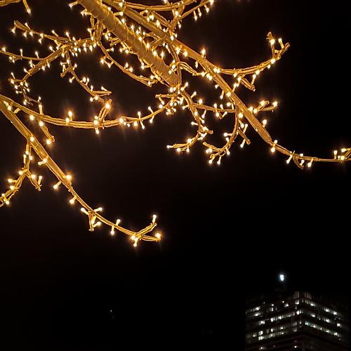 Photo #4392439
