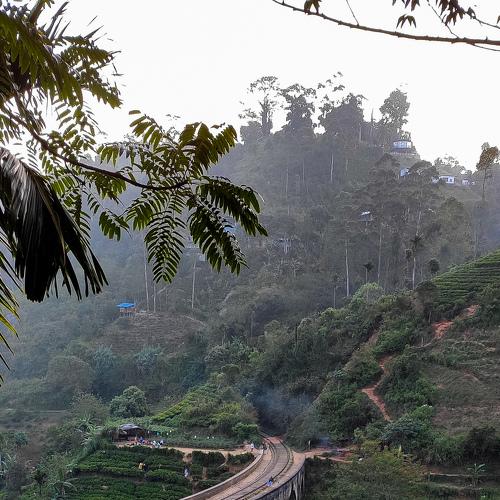 Photo #4392441