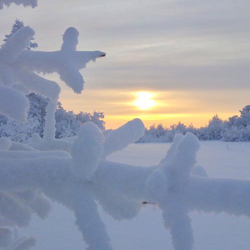 Photo #4392489