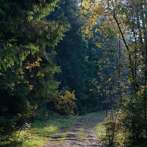Photo #4392682