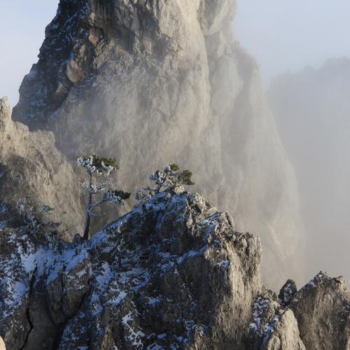 Photo #4392707