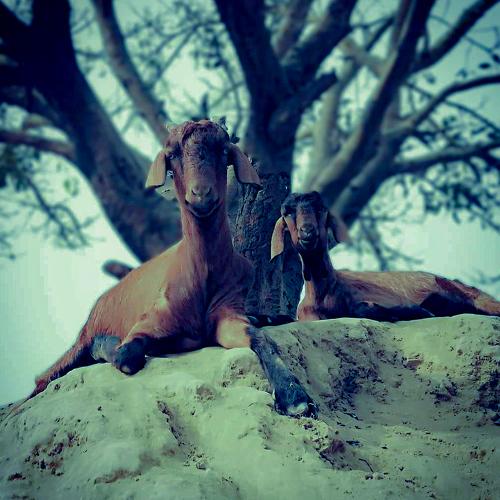 Photo #4392751