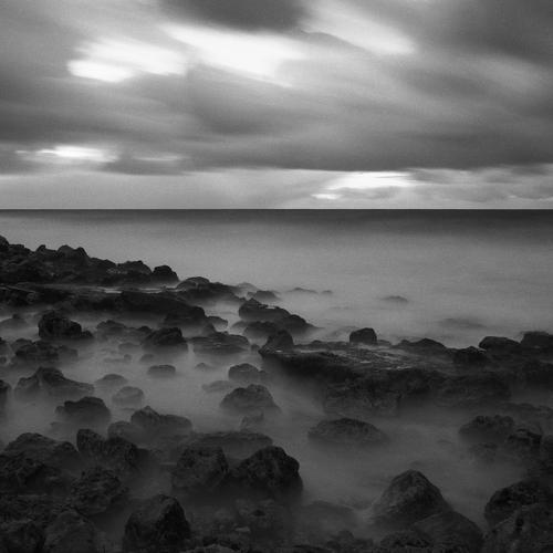 Photo #4392757