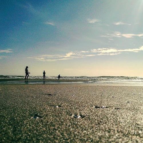 Photo #4392997