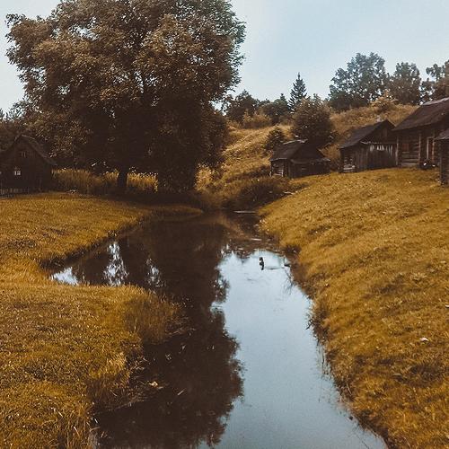 Photo #4393200