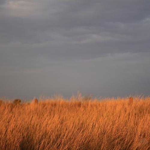 Photo #4393238