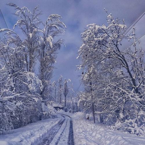 Photo #4393595