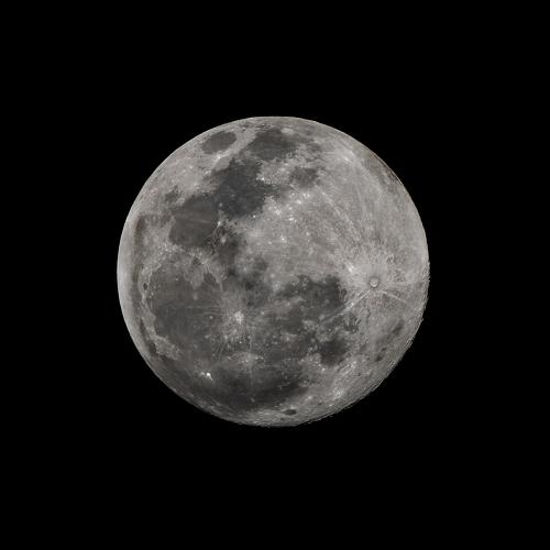 Photo #4393742