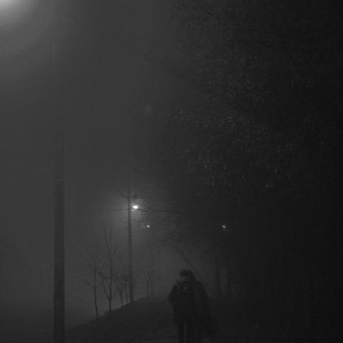 Photo #4394000