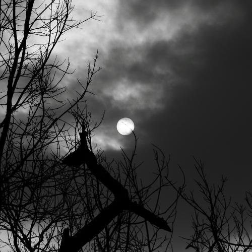 Photo #4394107