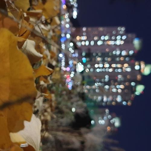 Photo #4394200