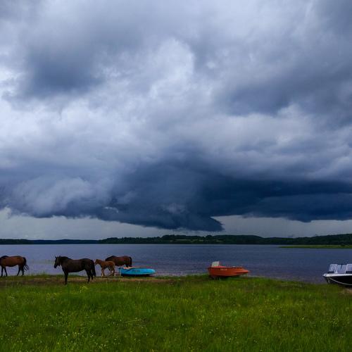 Photo #4394339