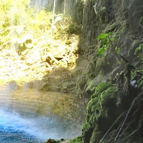 Photo #4394429