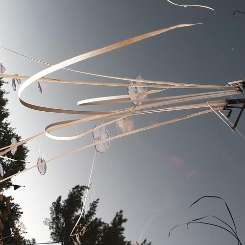 Photo #4394435
