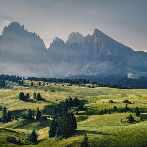Photo #4394511
