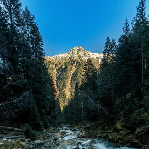 Photo #4394548