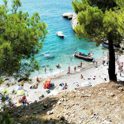 Photo #4394568