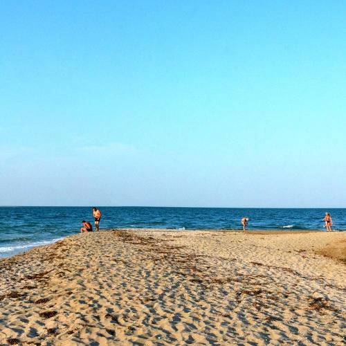 Photo #4394569