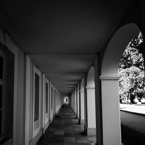 Photo #4394617
