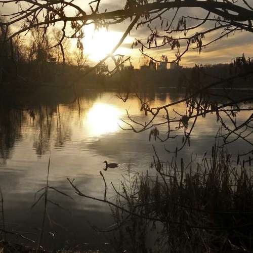 Photo #4394868
