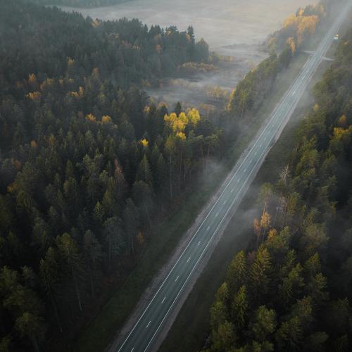 Туманное утро