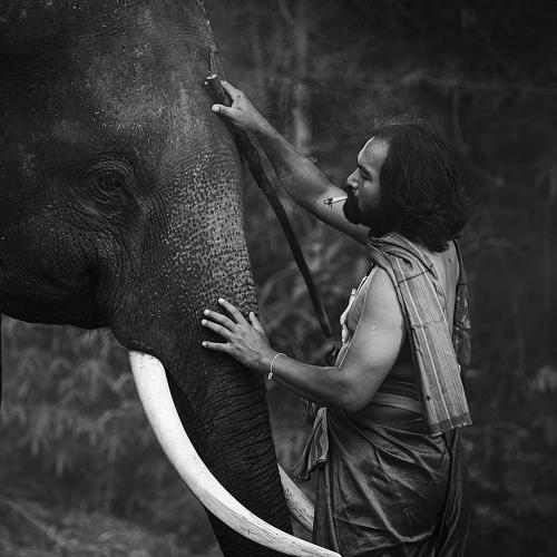 Photo #4395171