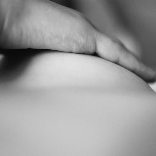 Photo #4395736