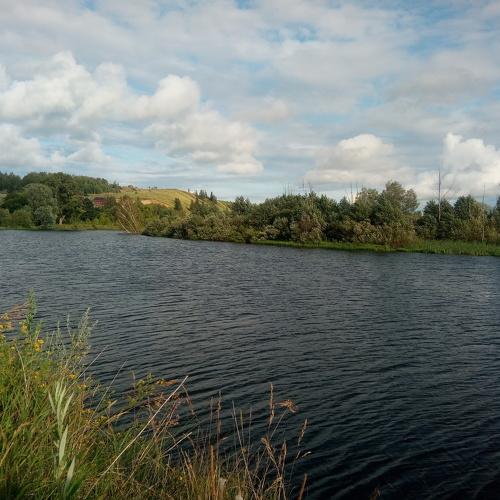 Photo #4395811