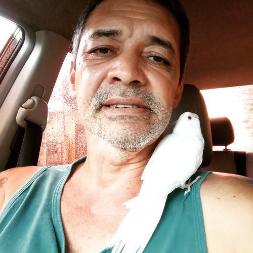 May bird 09/11/2019
