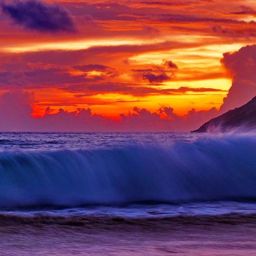 Photo #4395913