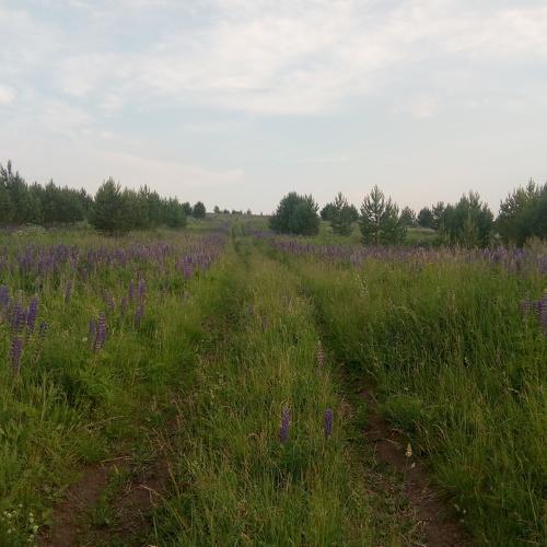 Photo #4395989