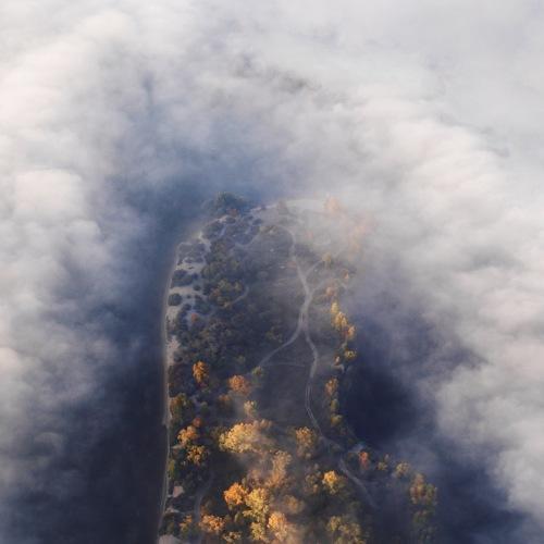 Photo #4396011