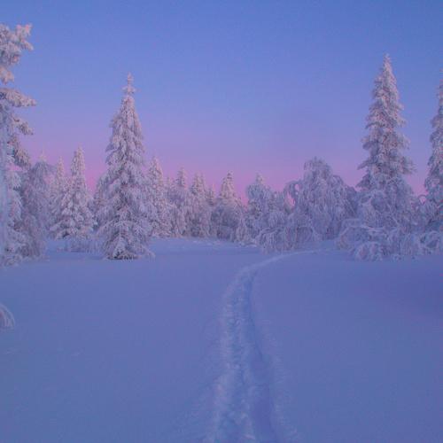 Photo #4396319