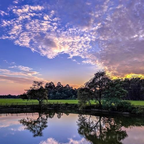 A Evening View oF My Village