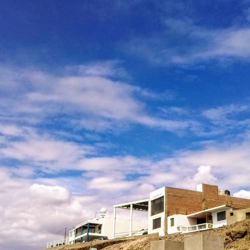 Photo #4396480