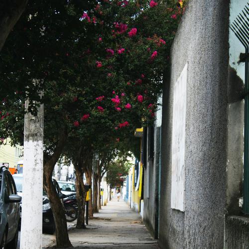 Photo #4396753