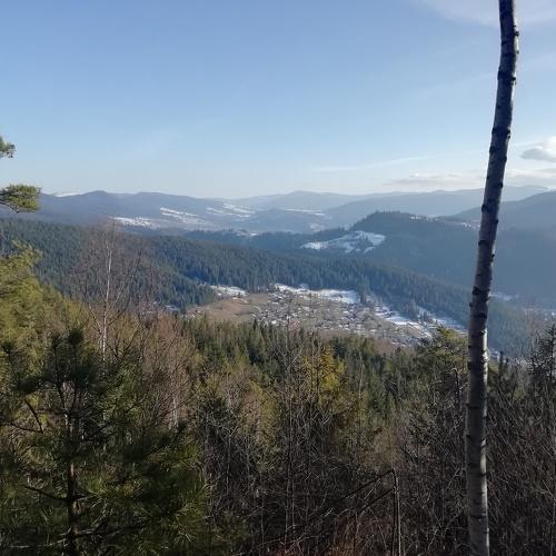 Photo #4396777