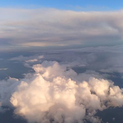 Photo #4396808